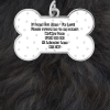 Personalised Bone Shaped 'I'm Lost!' Pet Collar Tag - Black