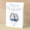 Christmas Card For Her Card For Him Xmas Card For Girlfriend or Boyfriend Christmas Card for Wife Christ Card For Husband Cute Owls - Large (5x7) / Blank Message