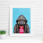 Pug dog in clothes, animal print, wall art