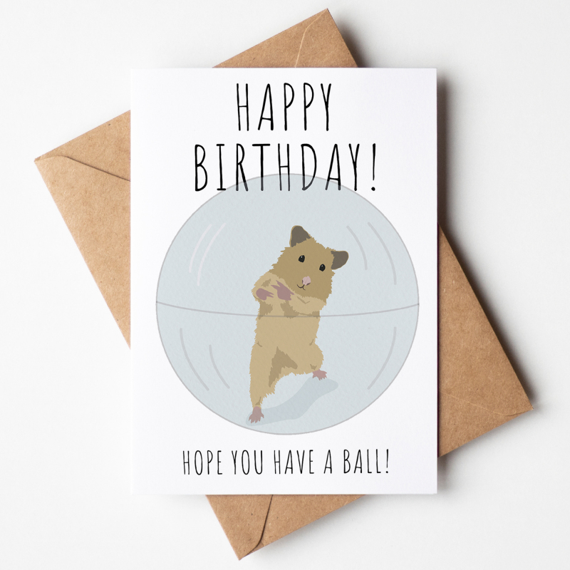 Funny Birthday Card Getting Old Card, Hamster Card - Personalised Birthday Card Birthday card. Funny Hope you'll have a ball Birthday Card. - A6 - 4.1″ x 5.8″