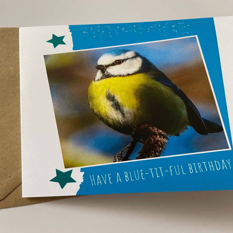 Birthday Card - Blue Tit