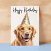 Birthday Card For Her Card For Friend Mum or Sister Birthday Card For Him Brother Dad Happy Birthday Card of Golden Retreiver Dog Fun Card - Small (4x6) / Blank Message