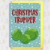 Christmas Trumper sprout rude, fart, farting, trump Holidays, Xmas, festive card for male, husband, brother (Size A6/A5/A4/Square 6x6") - A6: Single card