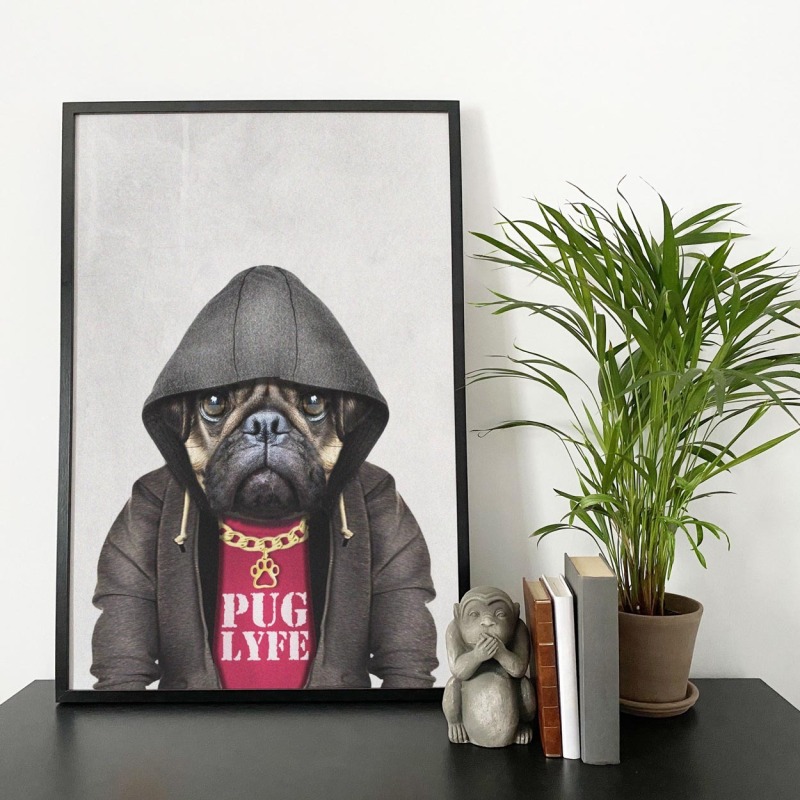 Pug dog in clothes, animal print, wall art - A5 - Glossy - Blue