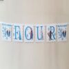 Handmade Frozen Inspired Banner,ANY AGE Frozen Party,Frozen Inspired Bunting - 3