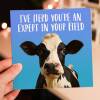 I've herd you're an expert in your field funny cow, farm animal, pun congratulations, graduation, well done card (Size A6/A5/A4/Square 6x6") - A6: Single card