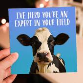 I've herd you're an expert in your field funny cow, farm animal, pun congratulations, graduation, well done card (Size A6/A5/A4/Square 6x6")