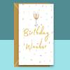 Funny Birthday Wanker Card - Birthday Card for Him or for Her - Sarcastic Card channeling Jay from The Inbetweeners