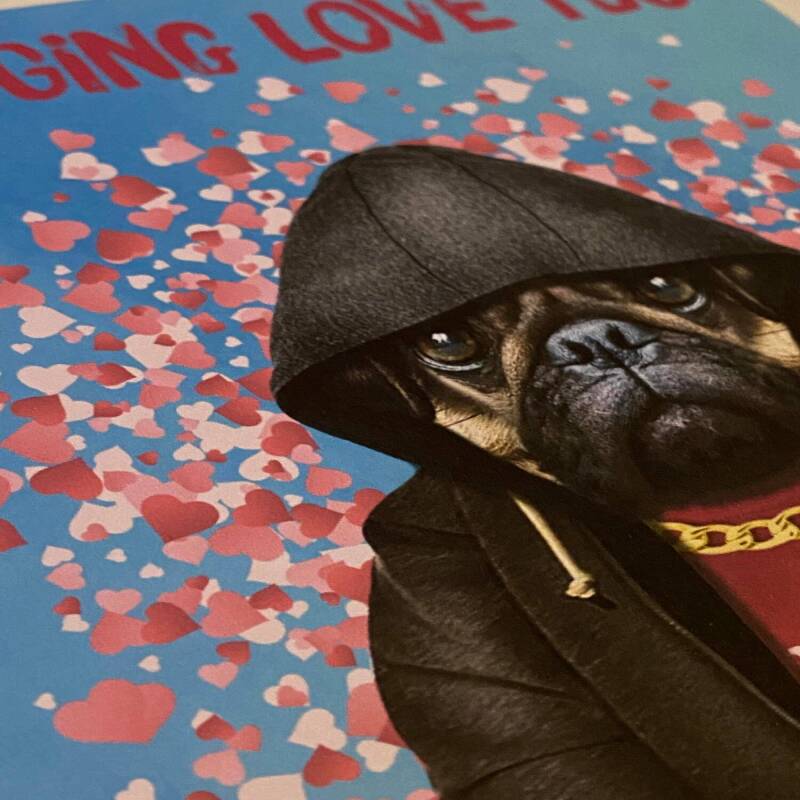 I pugging love you pug in clothes Valentine's Day card for wife, husband, girlfriend, boyfriend (Animalyser) (Size A6/A5/A4/Square 6x6") - A6: Single card