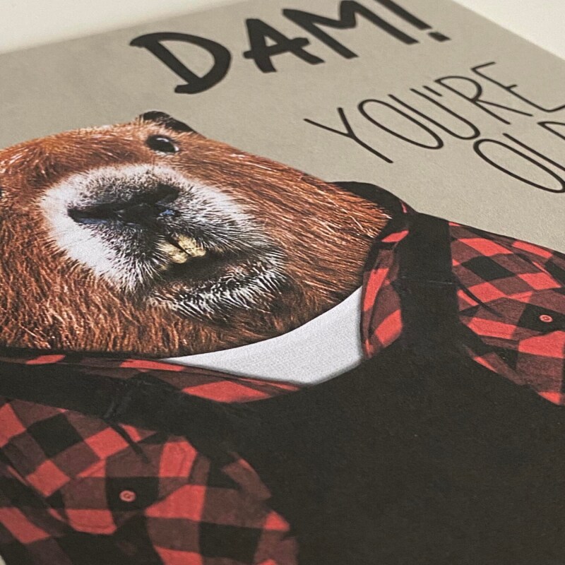 Dam! You're old! Beaver in clothes old age, pensioner, old person, old man, old lady birthday card (Animalyser) (Size A6/A5/A4/Square 6x6") - A6: Single card