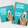 Another birthday? No prob llama funny animal in clothes birthday card for old man, lady, person (Animalyser) (Size A6/A5/A4/Square 6x6") - A6: Single card