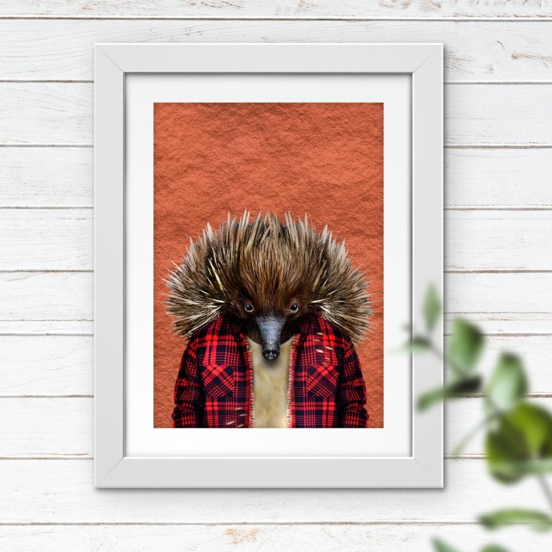 Echidna in clothes, animal print, wall art - A5 - Glossy