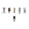 Personalised Cat Bar Runner Mat, Cat Sign & 4 x Drinks Coasters Gift Set Garden Bar Sets / Custom Beer Mats Home Bar, personalised bar mat - Set of 4 Coasters