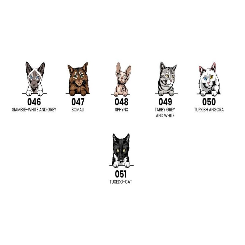 Personalised Cat Bar Runner Mat, Cat Sign & 4 x Drinks Coasters Gift Set Garden Bar Sets / Custom Beer Mats Home Bar, personalised bar mat - Set of 4 Coasters