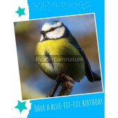 Birthday Card - Blue Tit