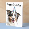 Birthday Card For Him or Her Fun Birthday Card of A Australian Shepherd Dog Happy Birthday Card For Mum, Dad, Sister Brother - Small (4x6) / Blank Message