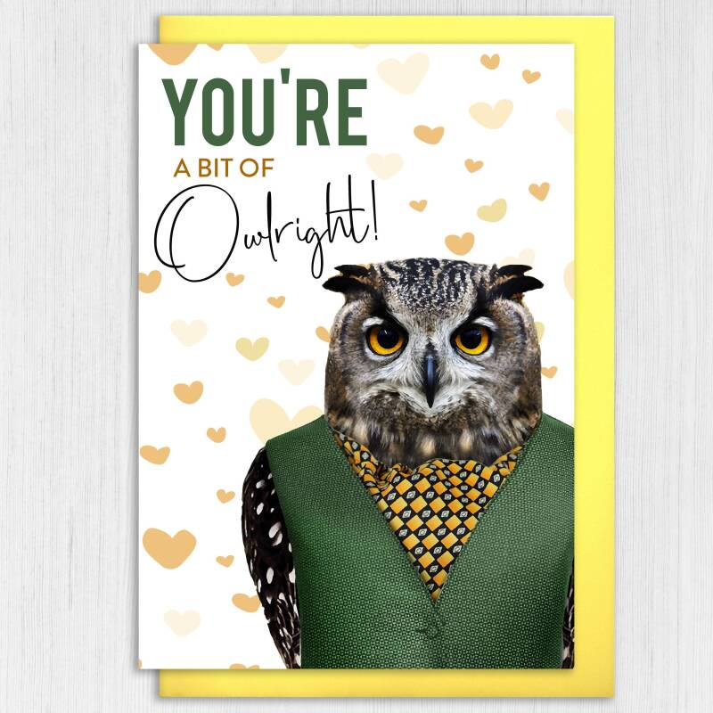 You're a bit of owlright owl, bird anniversary card for wife, husband, boyfriend, girlfriend (Animalyser) (Size A6/A5/A4/Square 6x6") - A6: Single card