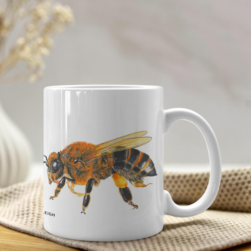 Honey Bee Artwork - Ceramic Mug