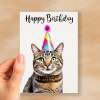 Birthday Card For Her Card For Friend Mum or Sister Birthday Card For Him Brother Dad Happy Birthday Card of Tabby Cat Fun Birthday Card - Small (4x6) / Blank Message