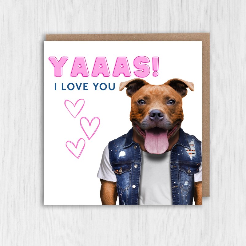 Yaaas! I love you Staffy Staffordshire Bull Terrier dog cute, funny anniversary card for wife, husband (Animalyser) Size A6/A5/A4/Square - A6: Single card