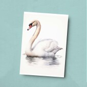 Swan Notelet Card For Anyone Any Occasion Card For Her or For Him 5x7, A6 Card For Birthday or Easter Card Thank You Card Wildlife