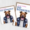 It's your birthday, go bonkers Staffy Staffordshire Bull Terrier dog, pet cute, funny birthday card (Animalyser) Size A6/A5/A4/Square - A6: Single card