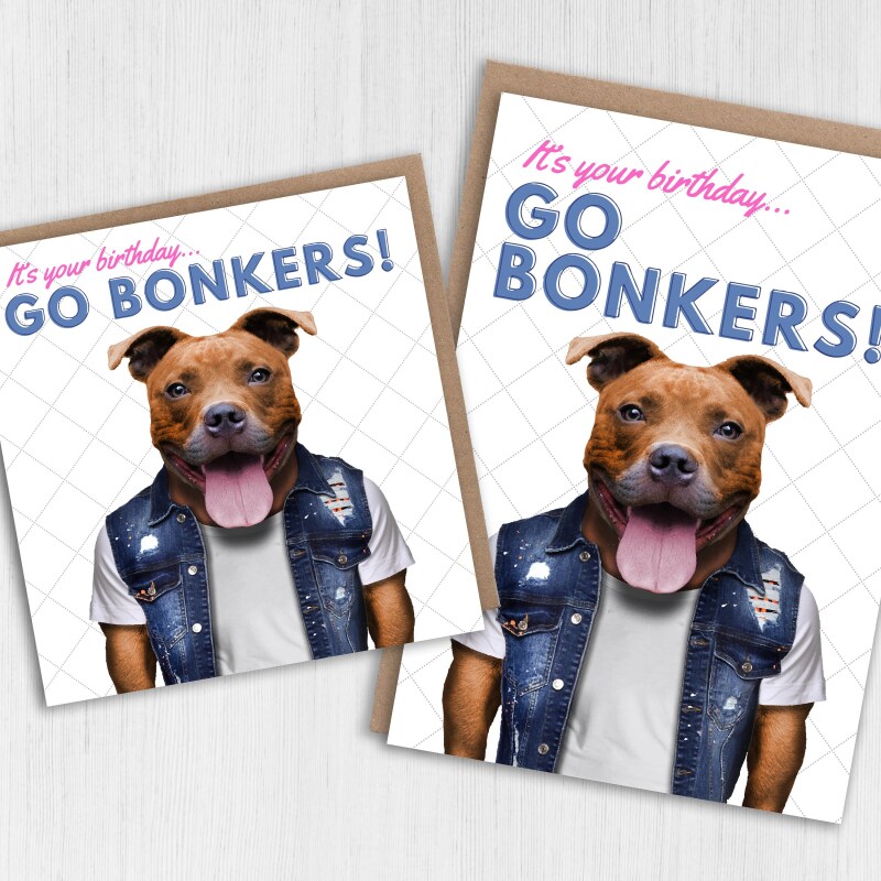 It's your birthday, go bonkers Staffy Staffordshire Bull Terrier dog, pet cute, funny birthday card (Animalyser) Size A6/A5/A4/Square - A6: Single card