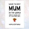 Birthday - MUM - best in world BIRTHDAY card