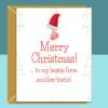 Funny Bestie Christmas Card - Personalised Best Friend Xmas Card - Ideal rude card for your mate - Blank inside - Regular