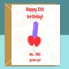 Funny 21st Birthday Card - Personalised inside if required - For Him or For Her - Perfect greetings card for someone turning 21 years old - Blank inside - Small