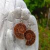 Brown ammonite earrings - Inspiration