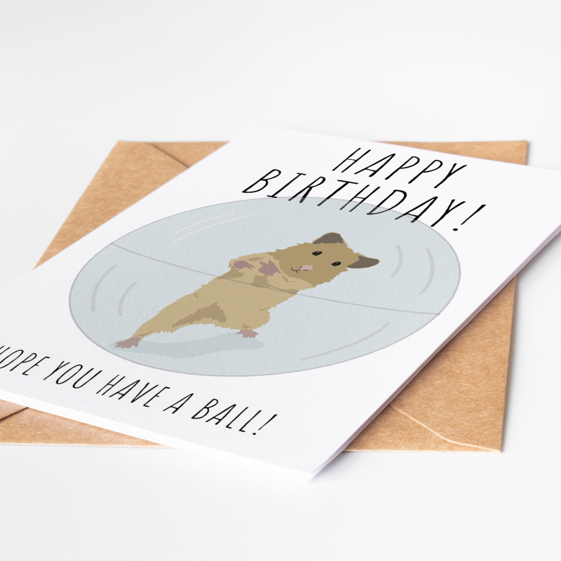 Funny Birthday Card Getting Old Card, Hamster Card - Personalised Birthday Card Birthday card. Funny Hope you'll have a ball Birthday Card. - A6 - 4.1″ x 5.8″