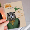 Owl I need is you cute owl, bird in clothes Valentine’s Day card for wife, husband, partner (Animalyser) (Size A6/A5/A4/Square 6x6") - A6: Single card