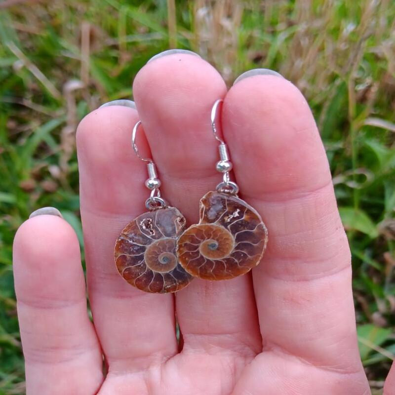 Ammonite earrings - Grounding