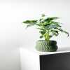The Quarn Planter Pot with Drainage Tray & Stand Included - Matte Dark Green - 3"