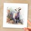 Notelet Card of a Sheep For Anyone Any Occasion Card For Her or For Him Card For Birthday or Easter Card Thank You Card - Square (6x6) / Blank Message