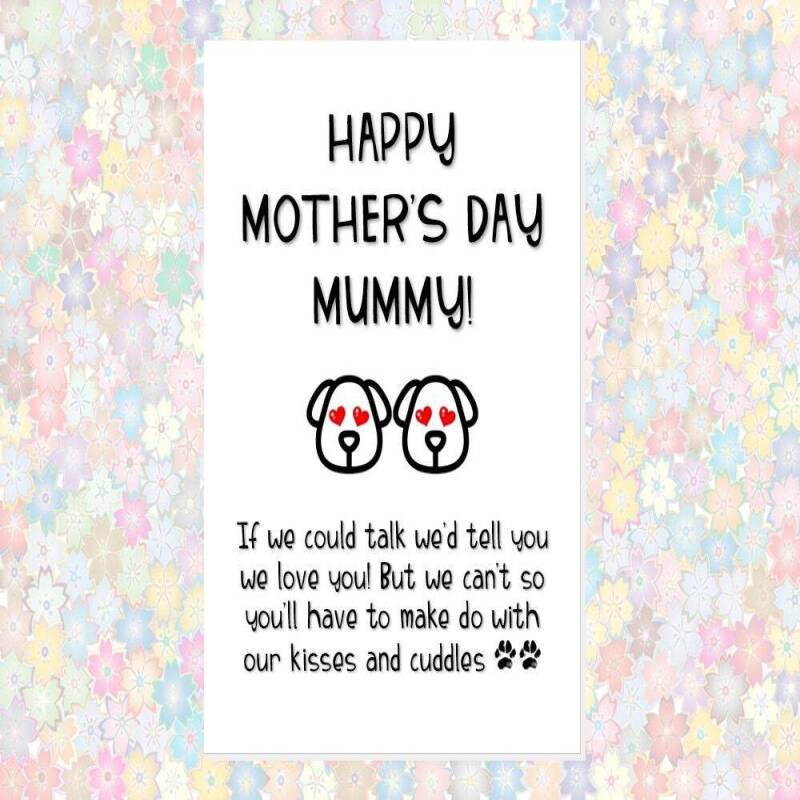 MOTHER'S DAY card from the dog, card from 2 dogs, 3 4 dogs, funny mother's day card, if I we could talk I would tell you I we love you mummy - 1