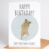 Funny Birthday Card Getting Old Card, Hamster Card - Personalised Birthday Card Birthday card. Funny Hope you'll have a ball Birthday Card. - A6 - 4.1″ x 5.8″