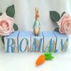 Personalised Peter Rabbit Blocks,Peter Rabbit Birthday,Peter Rabbit Room Deco - 4cm