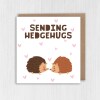 Sending hedgehugs hedgehogs, cute animal, thinking of you, with sympathy, bereavement, get well soon card (Size A6/A5/A4/Square 6x6") - A6: Single card