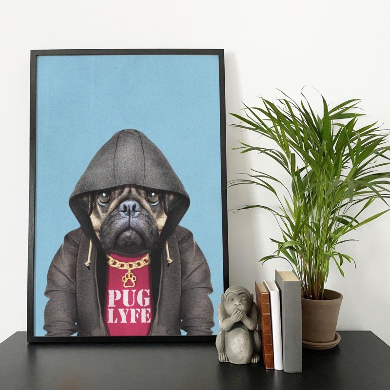 Pug dog in clothes, animal print, wall art - A5 - Glossy - Blue