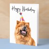 Birthday Card For Her Card For Friend Mum or Sister Birthday Card For Him Brother Dad Happy Birthday Card of Chow Chow Dog Fun Birthday Card - Small (4x6) / Blank Message