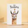 Birthday Card For Him or Her Of A Llama Illustration For Him or Her Birthday Gift - Portrait (5x7) / Blank Inside