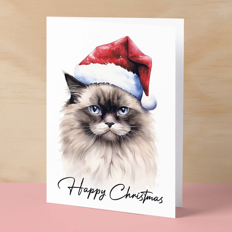 Cat Christmas Card Featuring A Ragdoll Cat Wearing a Santa Hat Fun Christmas Card For Him or Her Christmas Card For Anyone Christmas Gift - Small (4x6) / Blank Message