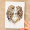 Anniversary or Valentine's Card for Her Anniversary Card for Wife Valentines Day Card For Husband Boyfriend or Girlfriend Brown Owls - Small (4x6) / Blank Message