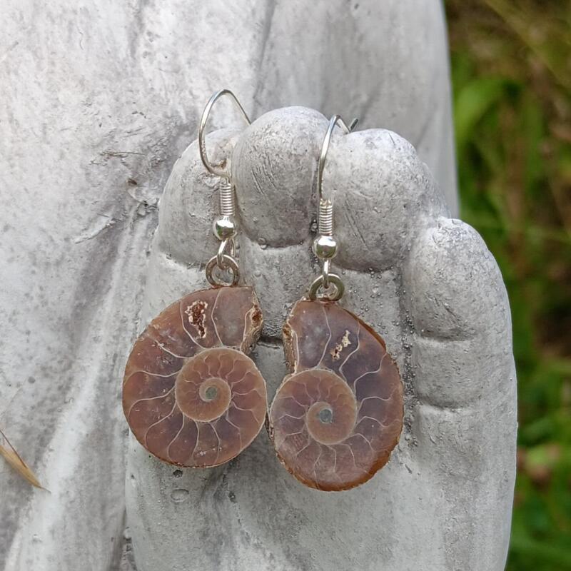 Ammonite earrings - Grounding