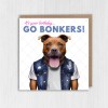 It's your birthday, go bonkers Staffy Staffordshire Bull Terrier dog, pet cute, funny birthday card (Animalyser) Size A6/A5/A4/Square - A6: Single card