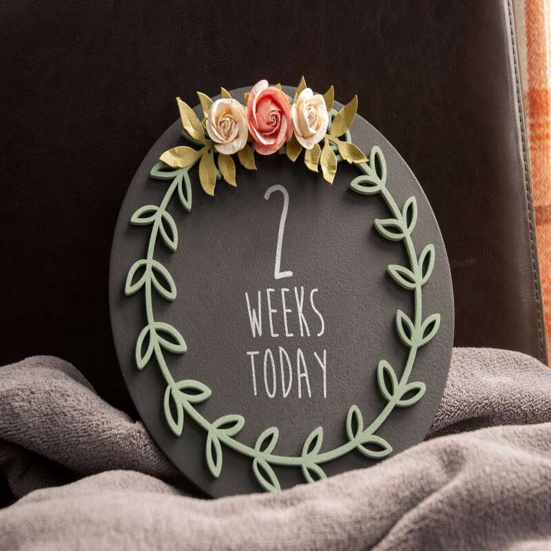 Floral Newborn Monthly Milestone Chalkboard - Perfect for Capturing Baby Photos and Moments. Great for baby shower gifts and accessories