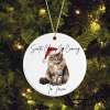 Ceramic Kitten/Cat Maine Coon Pun Christmas Tree Decoration