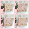 Personalised pink & gold milestone wood blocks,pink nursery decor,new baby gift - Pale pink